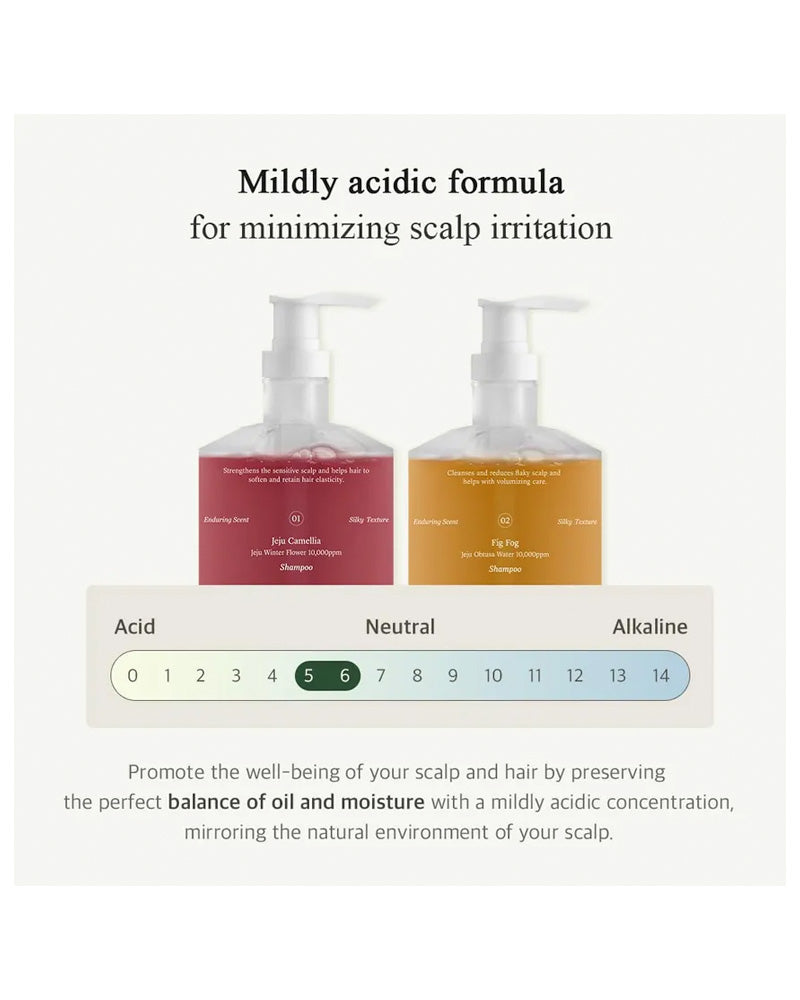 FREE MOMENT Refresh Moment Perfume Shampoo